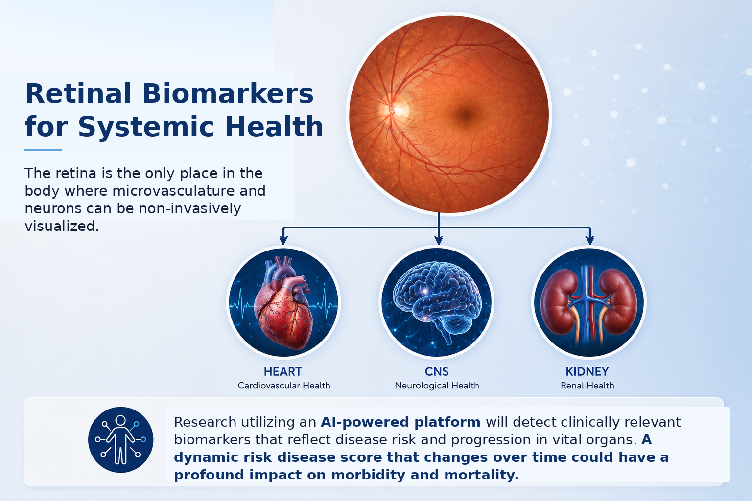 Retinal Imaging is a Window to Whole-Body Health with heart, CNS, and kidney research connections